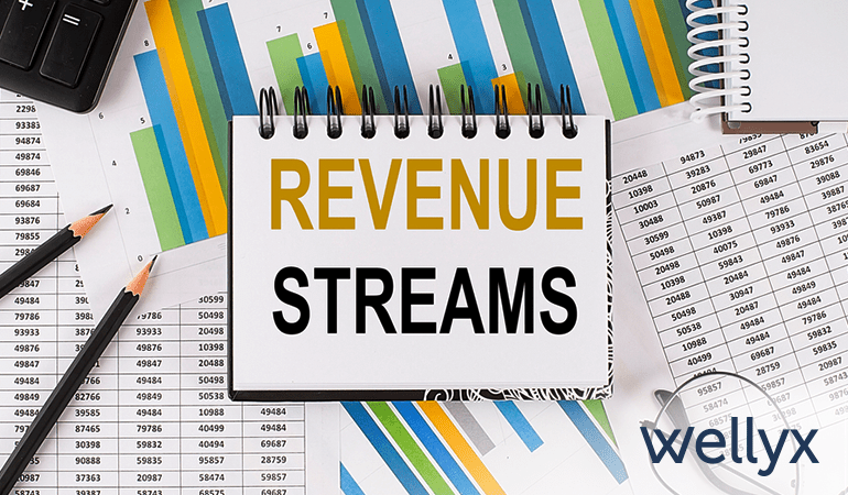 Revenue Streams